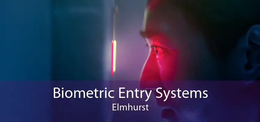 Biometric Entry Systems Elmhurst